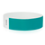 Caribbean Blue