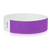 Pantone Purple