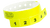 Neon Yellow